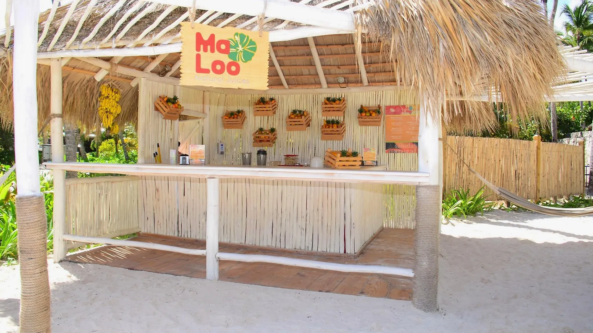 Catalonia Punta Cana