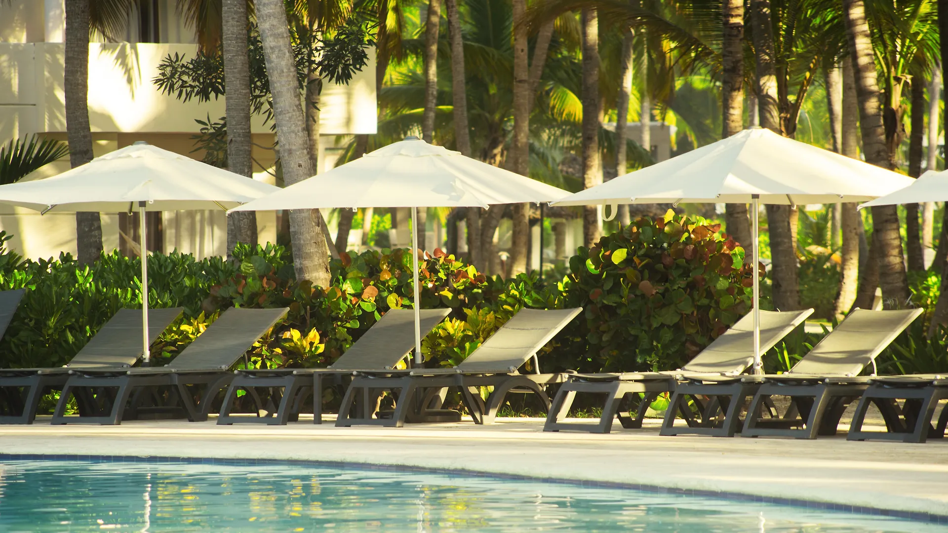 Catalonia Punta Cana - All Inclusive Repubblica Dominicana