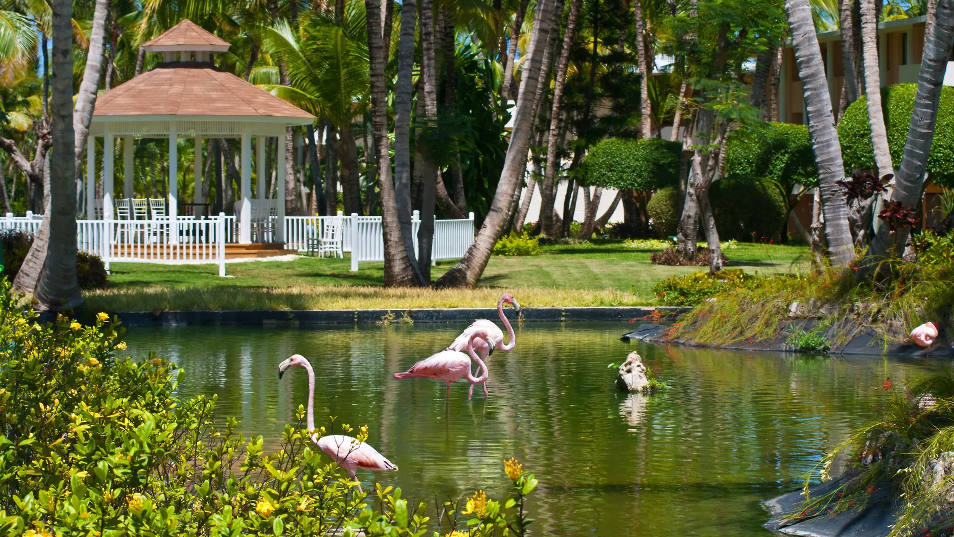 Resort Catalonia Punta Cana
